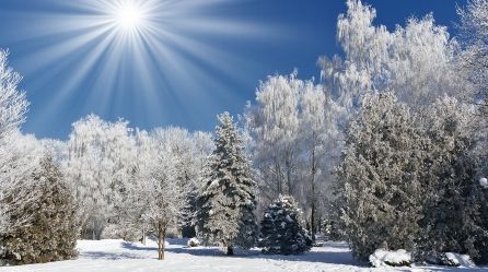 Vremea devine mai caldă decât în mod obișnuit. Ce temperaturi vom avea joi și vineri