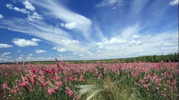 Cum va fi vremea în weekend. Anunţul de ultimă oră de la meteorologi