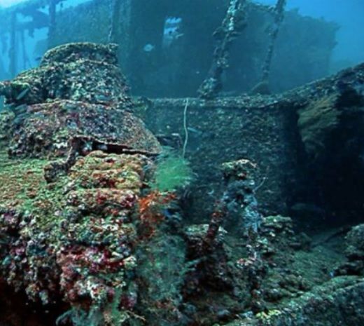 Au găsit într-o lagună un tanc acoperit de moluşte şi corali.Au intrat în el şi şoc ce au descoperit