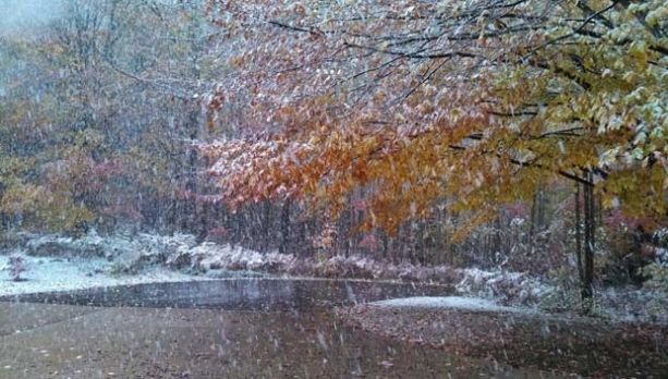 Informare METEO: Ploi, vânt puternic și ninsori. Ce zone sunt vizate