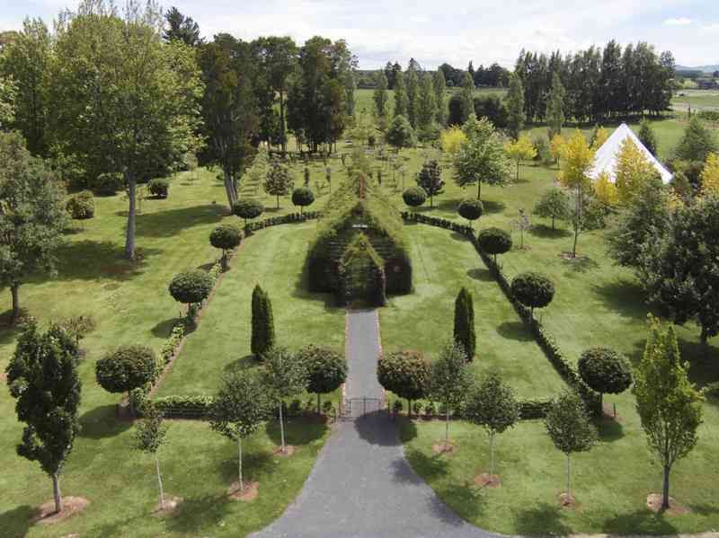 A construit o biserică numai din brazi naturali. Cum arată lăcaşul de cult VIU