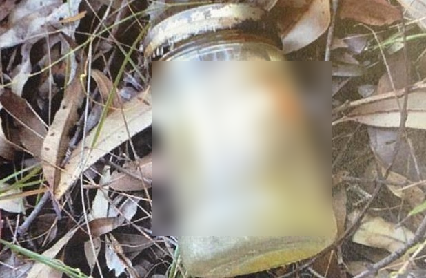 A găsit un borcan în pădure.L-a desfăcut, a ÎNGHEŢAT.A zis ca e mâna VRĂJITOARELOR.Poliţia s-a temut