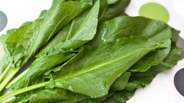 Ce este, de fapt, ŞTEVIA, planta care se găseşte în toate pieţele în această perioadă. Mai cumperi?