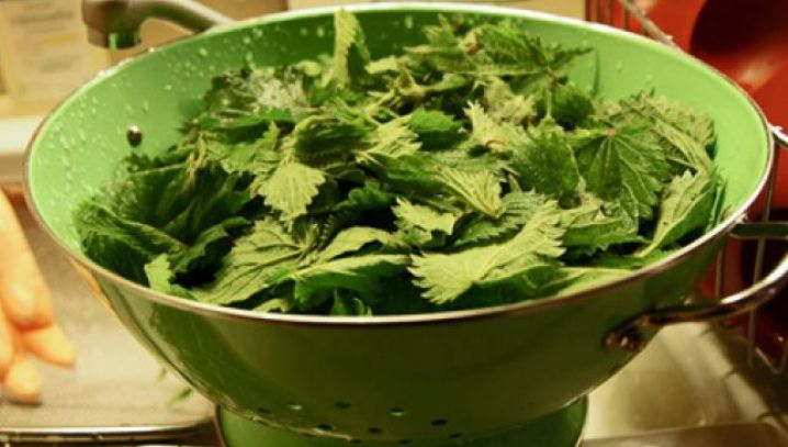 Cum să alegi urzicile