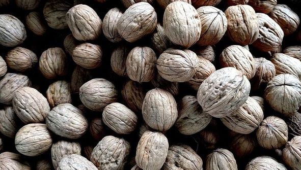 A băgat nuci la congelator şi le-a scos după o lună. Le-a spart. A fost uimită ce era în interior