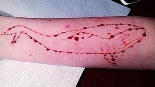 Ce este BALENA ALBASTRĂ, cel mai sinistru joc care a ucis o mulţime de tineri