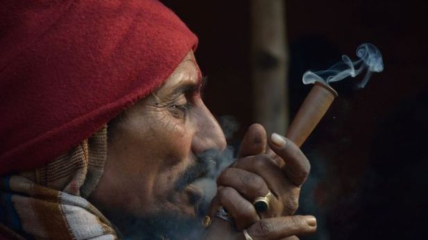 O băutură halucinogenă, veche de mii de ani, poate stimula producerea de noi neuroni