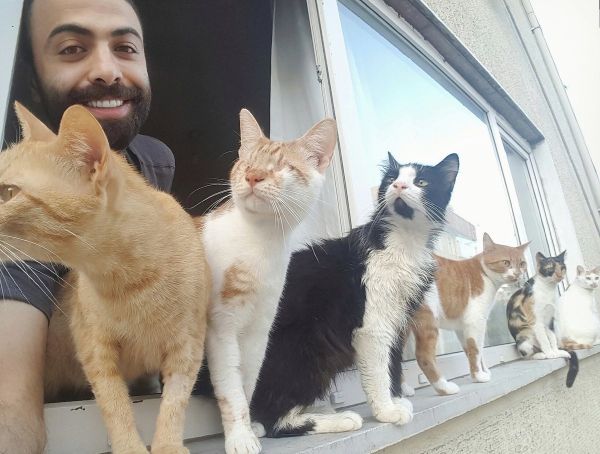 Motanul unui pianist din Turcia, pasionat de muzica clasică. Cum reacţionează la ea 