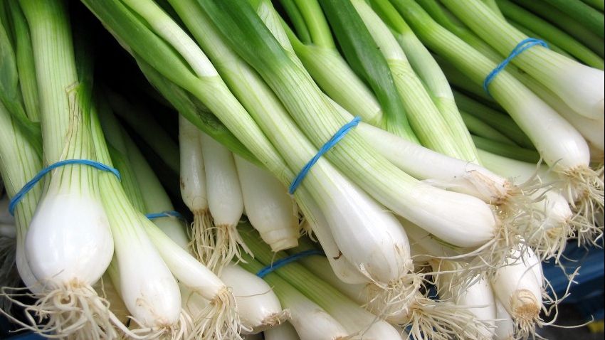 Beneficiul neștiut al cepei verzi. Ce se întâmplă după o lună dacă o consumi zilnic