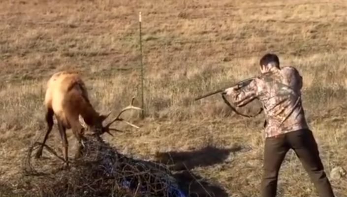 A dus arma la ochi și a tras. Ce a urmat după ce a apăsat pe trăgaci este impresionant