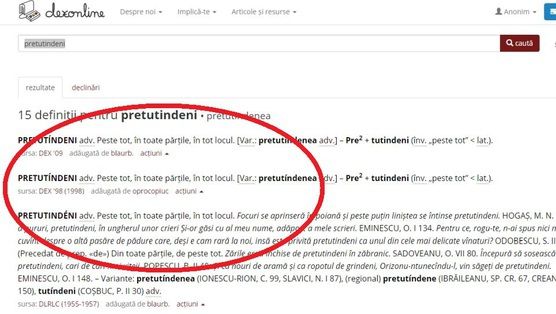 Ce s-a întâmplat pe Dex Online în timpul simulării la Română. ''Bănuiam că..."