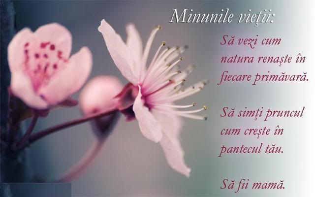 Mesaje şi felicitări de 8 MARTIE. Cele mai frumoase urări de ZIUA FEMEII