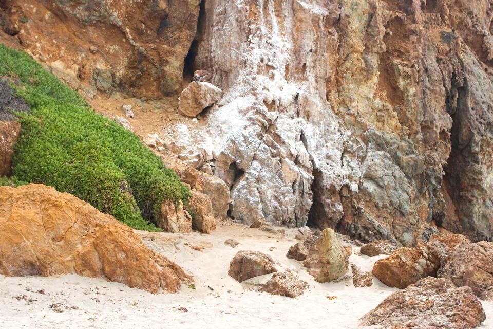 TEST. Reuşeşti să găseşti femeia dezbrăcată în aceste imagini?