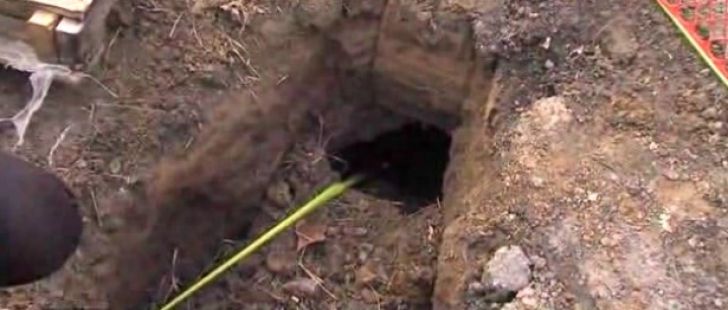 Au găsit o gaură în curtea casei. Se auzeau sunete de acolo. Au ÎNGHEŢAT când au văzut cine a ieşit