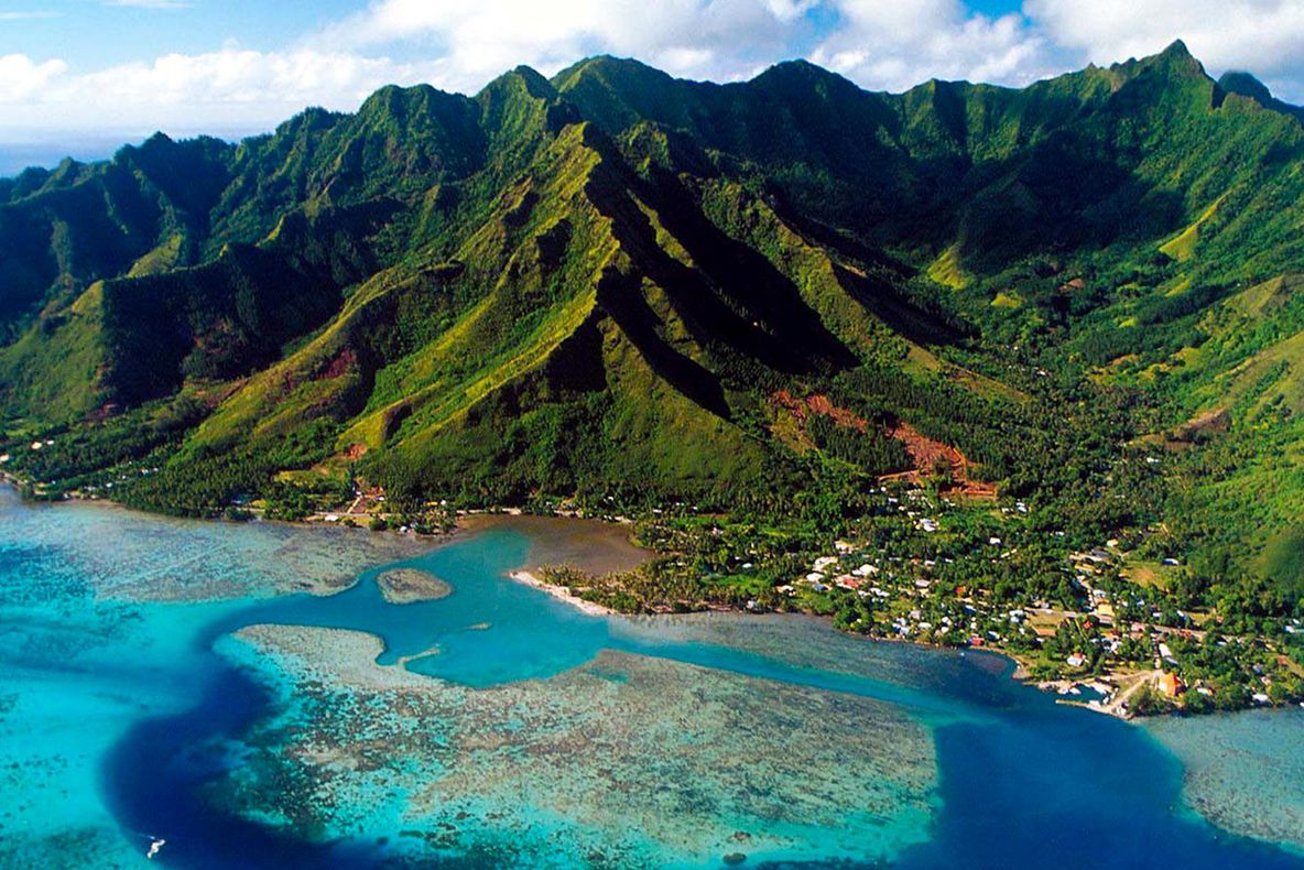 Era o insulă fabuloasă, însă a fost devastată de şerpi. Cum a fost posibil aşa ceva