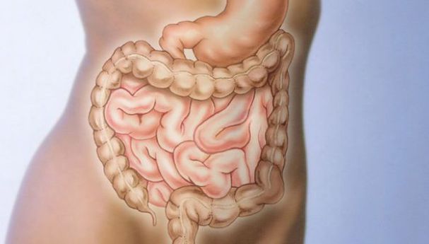 Dezechilibrul florei intestinale poate duce la Parkinson. Ce susţin cercetătorii