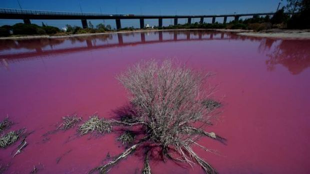 Au crezut că este un dezastru ecologic, dar este un fenomen natural bizar. Ce culoare are acest lac
