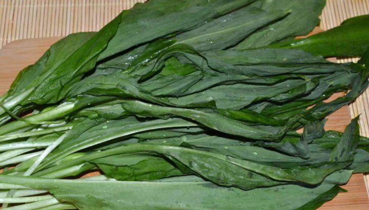 Leurda şi efectele asupra organismului. Combate zeci de afecţiuni nebănuite  