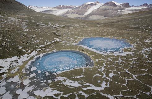 Topul celor mai misteriose locuri de pe Pământ! Copaci în formă de umbrelă şi pietre mişcătoare