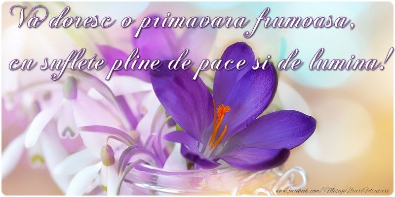FELICITĂRI 1 Martie. Trimite-le celor dragi o felicitare frumoasă de Mărţişor!