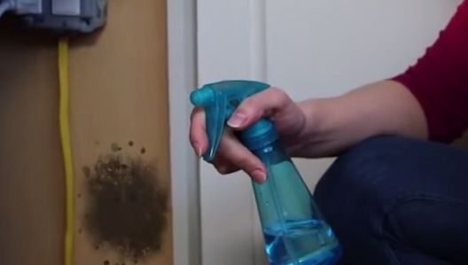Cum poţi scăpa de mucegai simplu şi uşor! Foloseşte acest ingredient pe care oricine îl are în casă