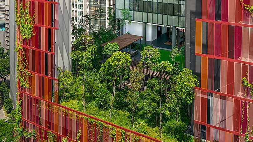 Hotel eco: are propriul ecosistem și crește singur. Această clădire arată incredibil