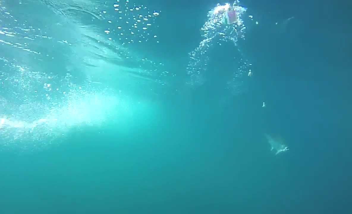 Imagini surprinse la o adâncime de 3000 de metri 