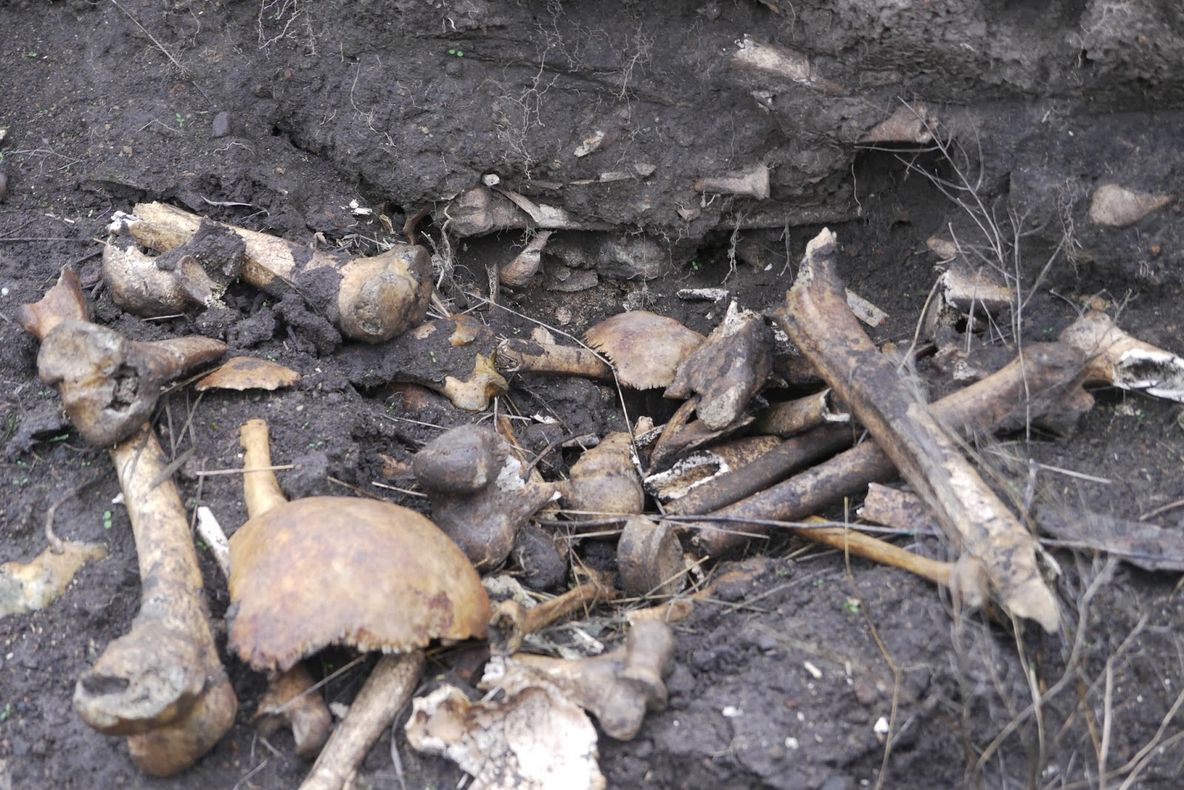 Rămăşite ale unor copii mici găsite într-o fostă casă pentru femei necăsătorite din Irlanda 