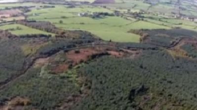 Pare o pădure obişnuită. Copacii ascund, însă, o mare ENIGMĂ. Secretul a fost luat în mormânt