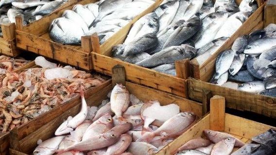 10 tipuri de PEŞTE pe care să NU le mănânci niciodată