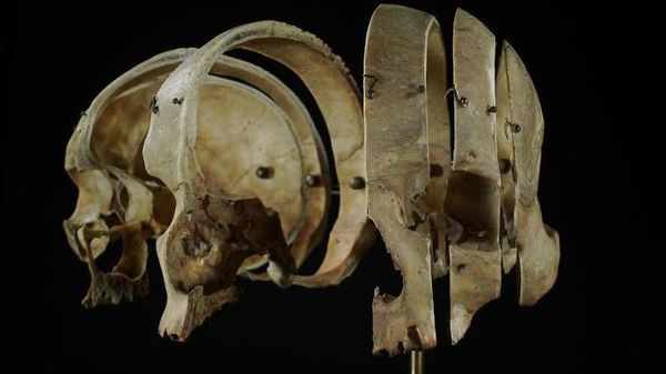 Târgul de Ciudățenii te va ajuta să alegi cadoul potrivit. Poate o mască de gaze cu perle, sau...