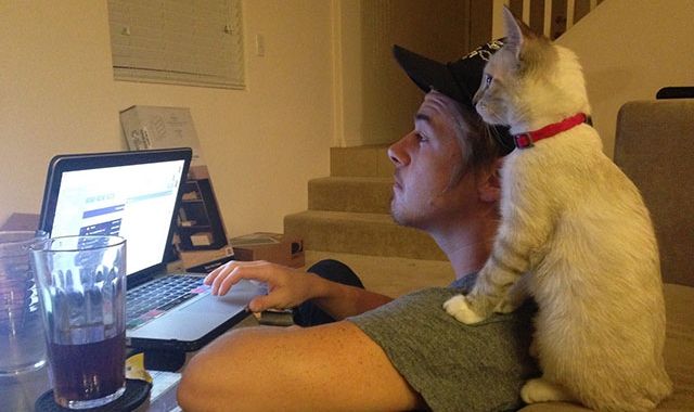 Un nou studiu desființează definitiv toate minciunile spuse despre pisici 