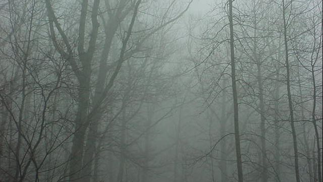 Vin ploile și se răcește vremea. Prognoza meteo pentru sâmbătă, duminică și luni