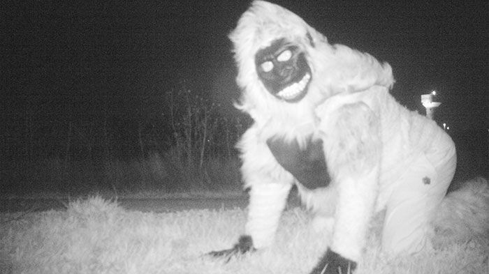 Poliţia a instalat camere de supraveghere într-o localitate. Ce au văzut pe imagini este ÎNGROZITOR