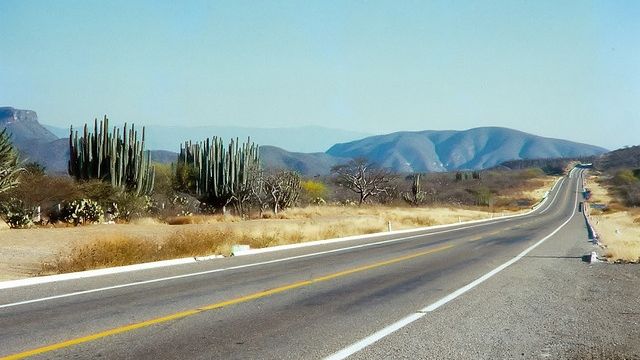 Românii blocaţi în Mexic au fost escortaţi şi şi-au reluat călătoria. Precizări MAE 