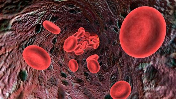 Reţeta Amish care scade tensiunea şi colesterolul