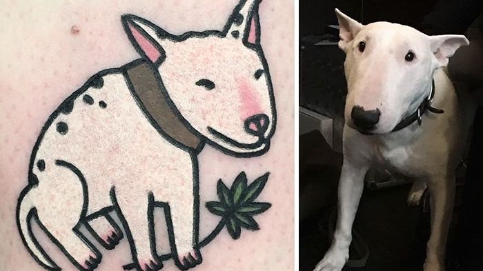 Animale de casă transformate în tatuaje. Vezi ce viziune amuzantă a avut acest artist