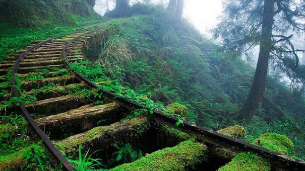 Cel mai ciudat loc din lume prin care trece trenul