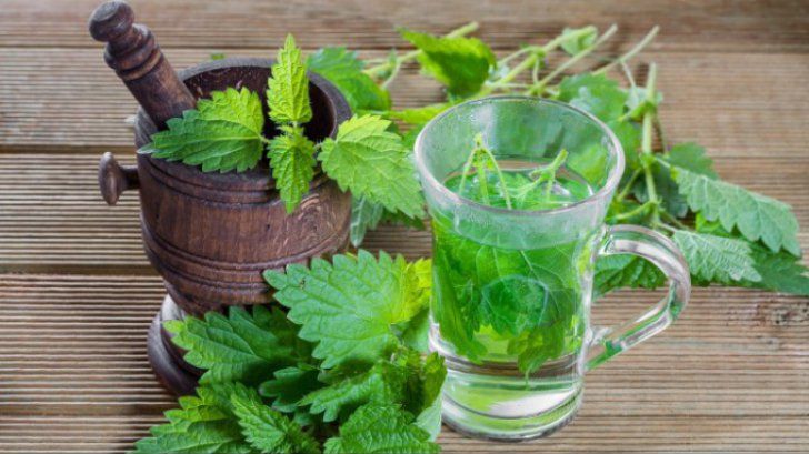 A băut în fiecare zi 2 căni de suc de urzici, timp de o lună. Nu i-a venit să creadă ce efect a avut