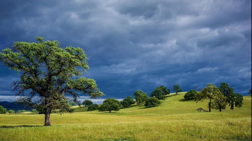 Vremea se răcește. Ce temperaturi vor fi în țară până sâmbătă