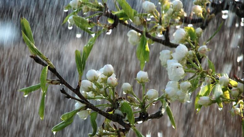 Se întorc ploile. Cum va fi vremea marți, miercuri și joi în întreaga țară