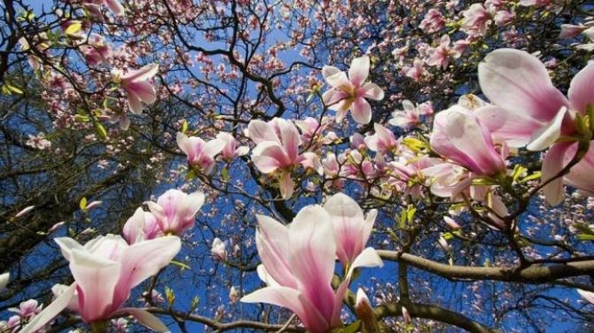 Cum va fi vremea de Florii 2017 şi Paşte 2017. Surprize imense de la meteorologi