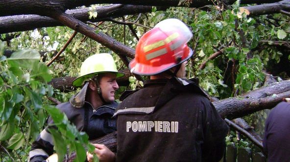 Furtuna face ravagii și în județul Dâmbovița. Copaci căzuţi şi un acoperiş luat de vânt în Târgoviște