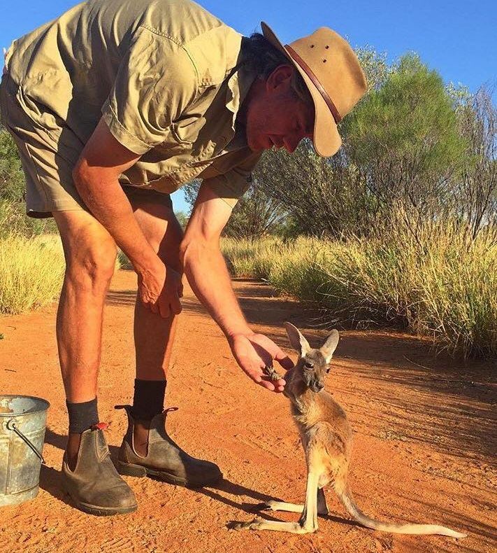 Cum a cucerit un pui de cangur orfan internetul - avea nevoie de puţin mai multă dragoste!