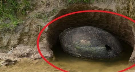 Se plimba cu maşina.A oprit să bea apă.A văzut un OU URIAŞ în râpă.L-a analizat. ŞOC ce era înăuntru