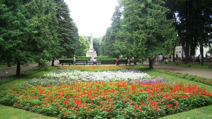 O fată din Botoşani i-a propus unui pensionar din parc să facă sex. Ce a urmat pare scenariu de film