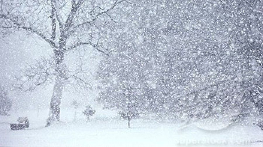 Iarna se întoarce în forță în România. Se așteaptă ninsori și viscol. Ce zone sunt vizate