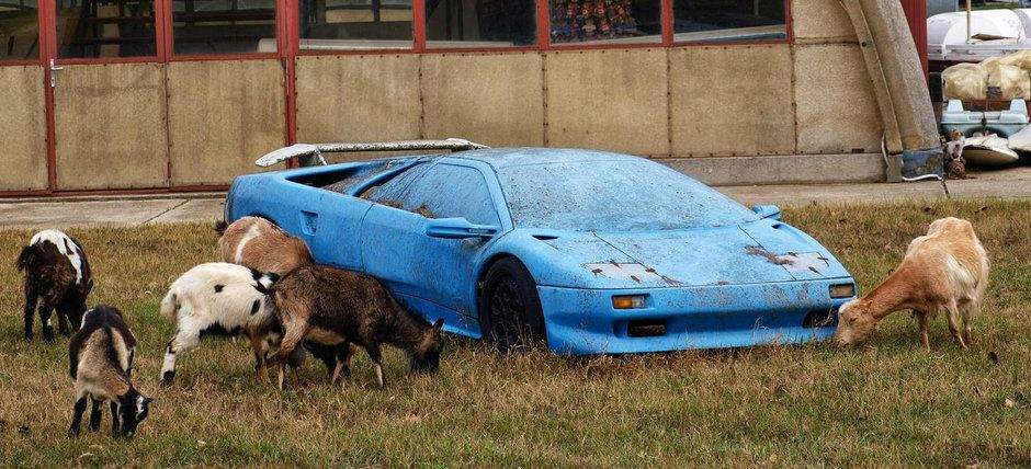 Au găsit un Lamborghini pe un câmp. Au vrut să-l ia, dar ce au văzut înăuntru i-a făcut să FUGĂ