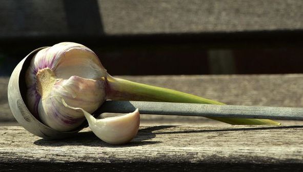 Pune-ți usturoi sub pernă noaptea și pune-te la somn! Nu o să-ți vină să crezi ce se va întâmpla
