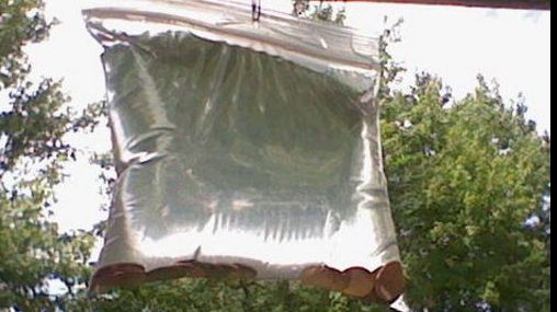 Tot mai multe persoane prind pungi cu apă de tocul ușii. Motivul? Genial